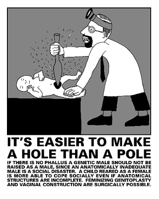It's Easier To Make A Hole Than A Pole